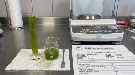How to Read an Olive Oil Lab Report: Polyphenols, Acidity, Peroxide & K Values Explained