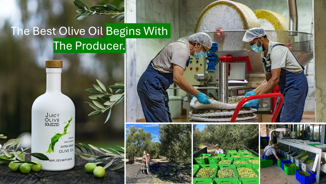 Olive oil producer inspecting fresh green olives beside milling equipment and a Juicy Olive bottle