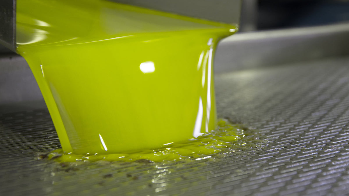 Green olives being milled in stainless steel machinery