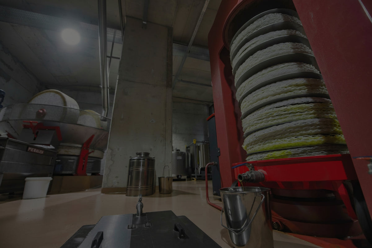 Green olives being milled in stainless steel machinery