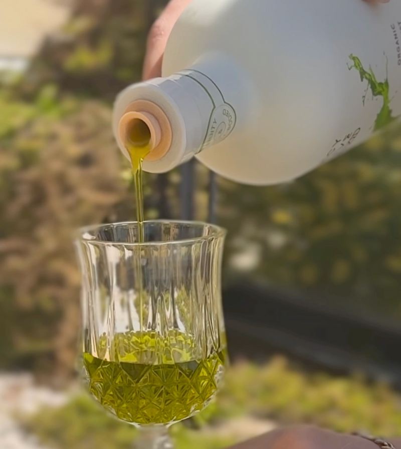 Organic Early Harvest EVOO | Fruity & Full-Bodied